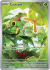 151 Caterpie 172/165(Full Art)